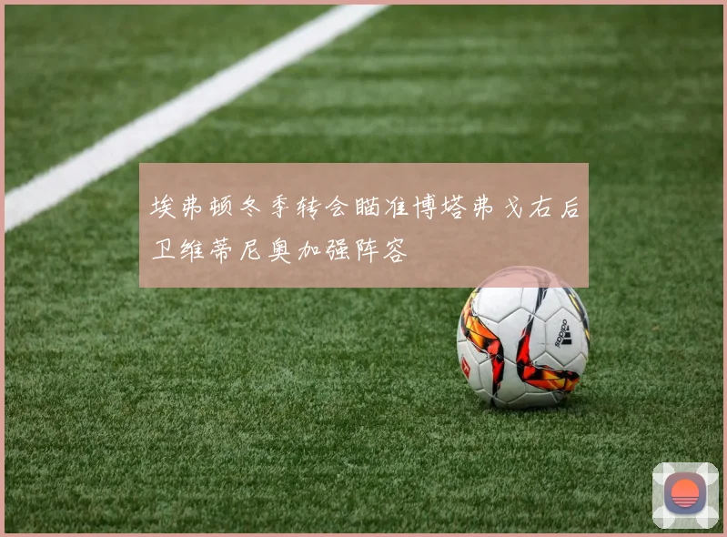 埃弗顿冬季转会瞄准博塔弗戈右后卫维蒂尼奥加强阵容