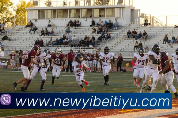 易倍体育服务体系